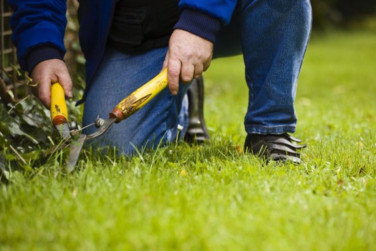 How To Start Your Own Landscaping Business | Revoada